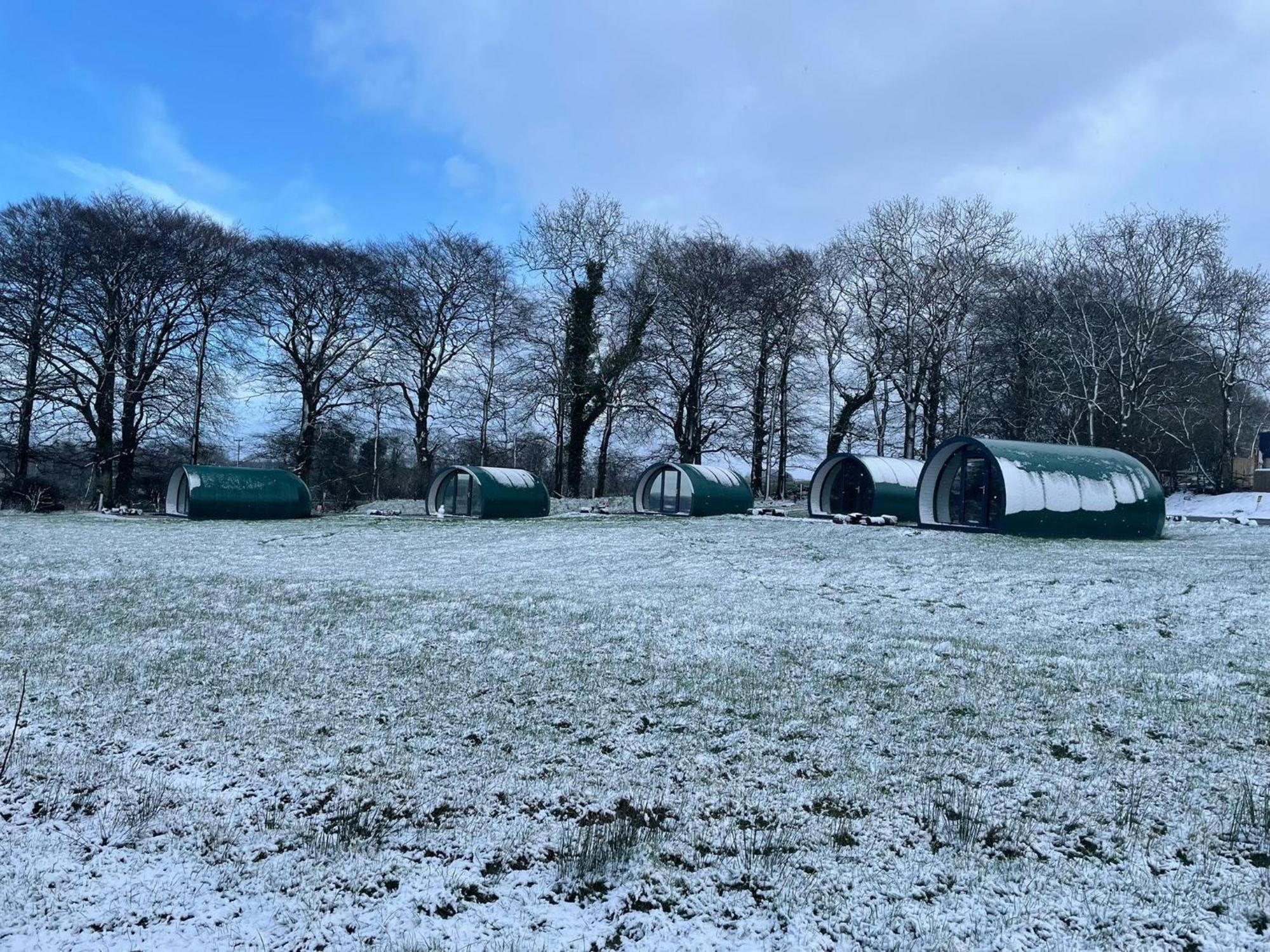 Отель Thornfield Farm Luxury Glamping Pods, The Dark Hedges, Ballycastle Stranocum Экстерьер фото