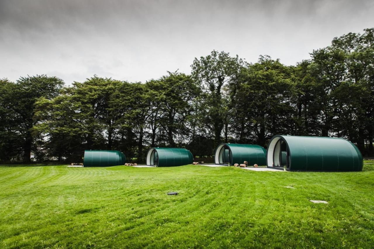 Отель Thornfield Farm Luxury Glamping Pods, The Dark Hedges, Ballycastle Stranocum Экстерьер фото