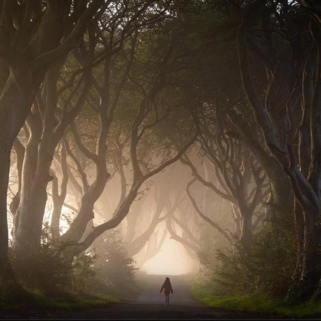 Отель Thornfield Farm Luxury Glamping Pods, The Dark Hedges, Ballycastle Stranocum Экстерьер фото